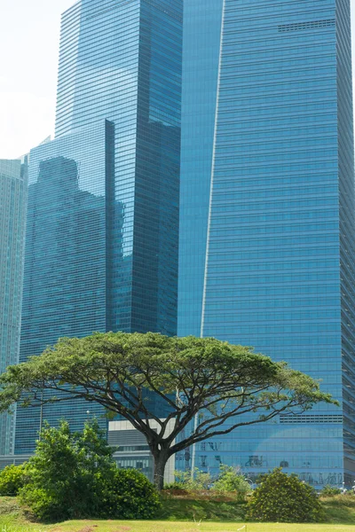 Buildings in Singapore skyline — Stock Photo, Image