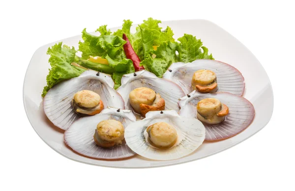 Grilled scallops — Stock Photo, Image