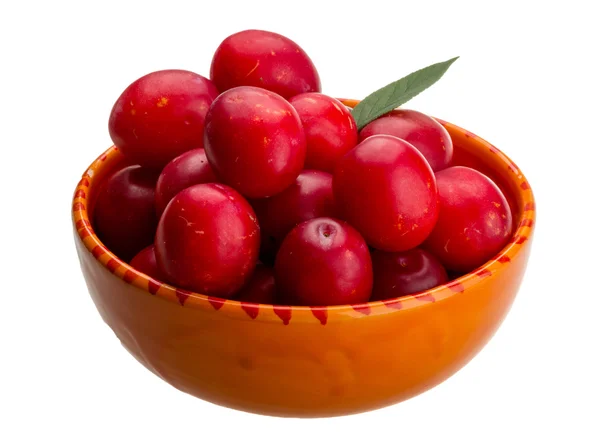 Damson plum — Stock Photo, Image