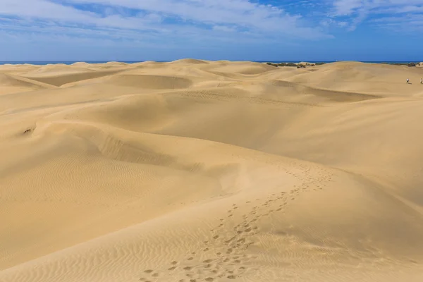 Maspalomas duna - öknen i Kanarieöarna — Stockfoto