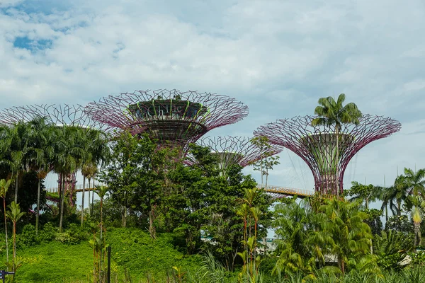 SINGAPUR - 12 DE MAYO: Jardines junto a la Bahía el 12 de marzo de 2014 en Singap — Foto de Stock