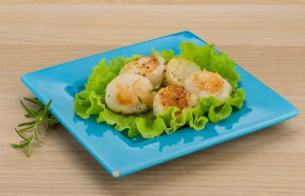 Grilled scallops — Stock Photo, Image