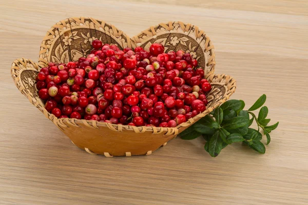 Cowberry — Stock Photo, Image