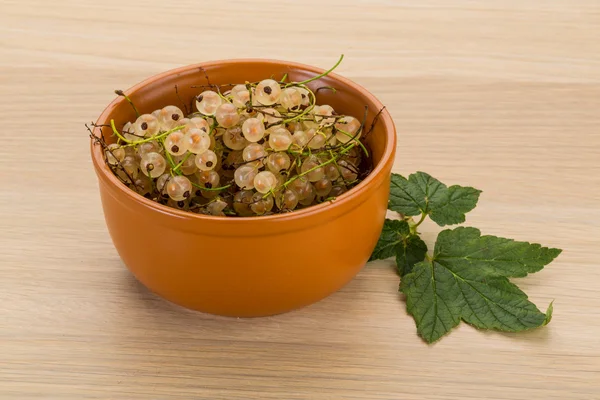 White currant — Stock Photo, Image