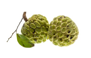 Noni meyve