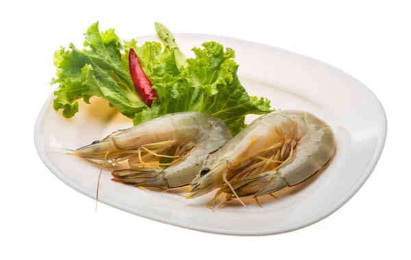 Tiger prawn — Stock Photo, Image