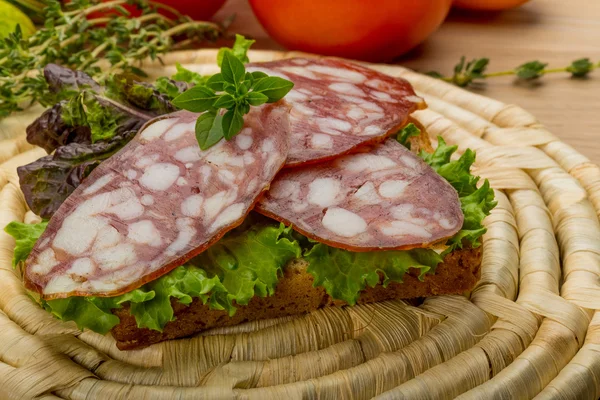 Salsichas de salame — Fotografia de Stock