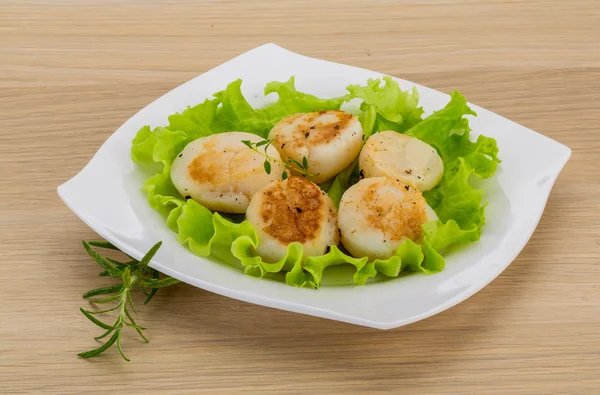 Grilled scallops — Stock Photo, Image