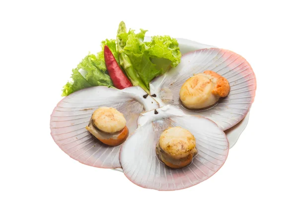 Grillade kammusslor — Stockfoto