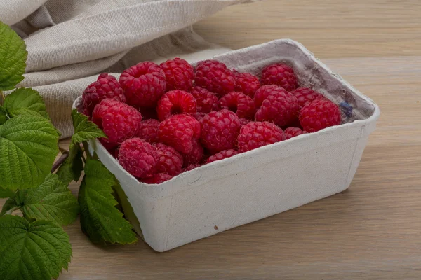 Framboise fraîche — Photo