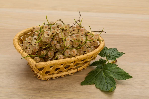 White currant — Stock Photo, Image