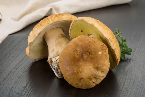 Jamur Boletus — Stok Foto