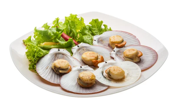 Grilled scallops — Stock Photo, Image