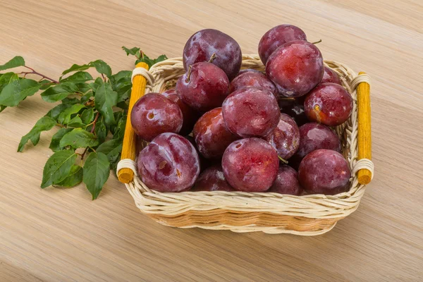 Frische Pflaumen — Stockfoto