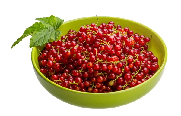 Red currant — Stock Photo, Image