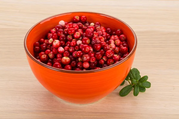 Cowberry — Stock Photo, Image