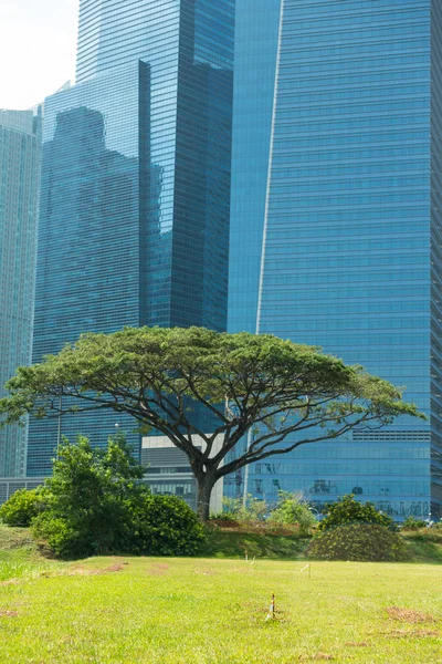 Edifícios em Singapore skyline — Fotografia de Stock