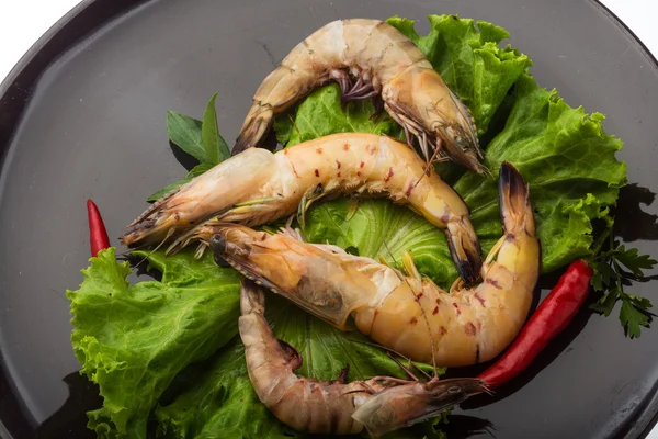 King Prawn — Stock fotografie