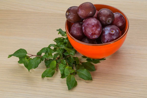 Plommon i skålen — Stockfoto