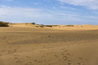 Maspalomas duna - Kanarya içinde çöl