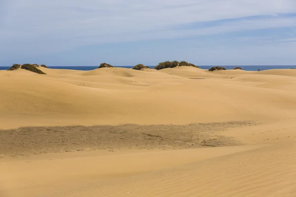 Maspalomas duna - pustynia w Kanaryjskich — Zdjęcie stockowe