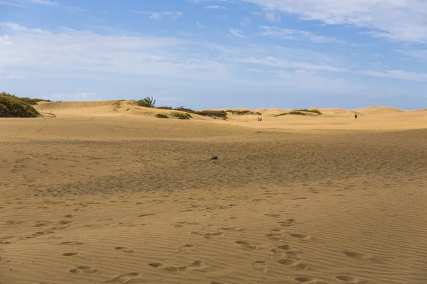 Maspalomas duna - pouštní v Kanárské — Stock fotografie