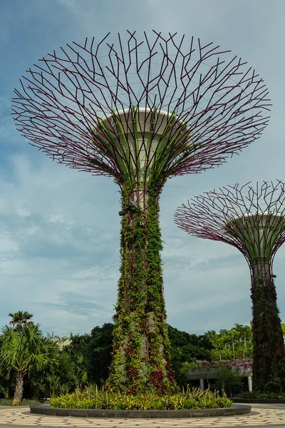 Singapore - 12 maj: trädgårdar vid viken på mar 12, 2014 i singap — Stockfoto