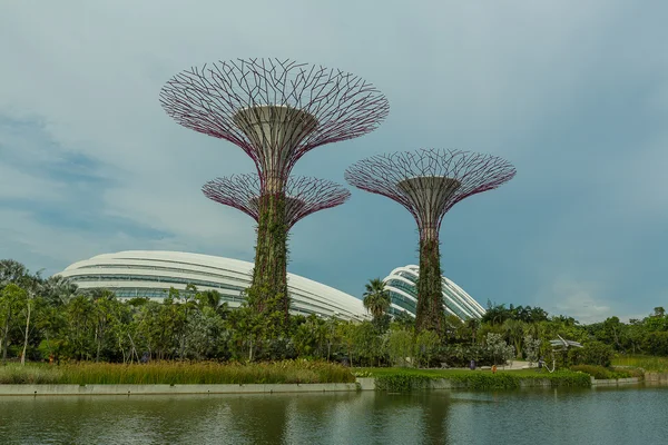 Singapore - 12 maj: trädgårdar vid viken på mar 12, 2014 i singap — Stockfoto