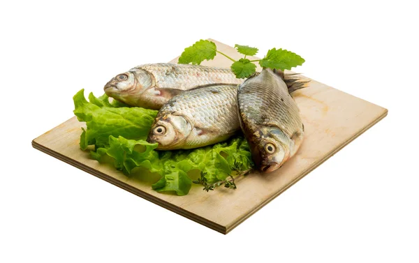 Pesce crociato — Foto Stock