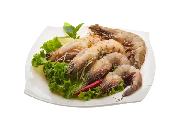 Langostino —  Fotos de Stock