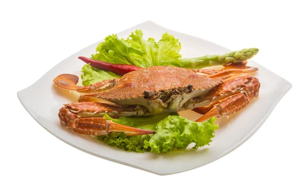 Crabe bouilli — Photo