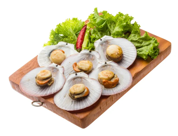 Grilled scallops — Stock Photo, Image