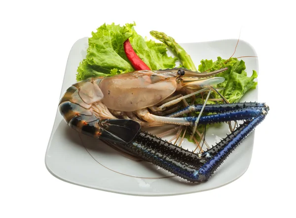 Gambas de agua dulce — Foto de Stock