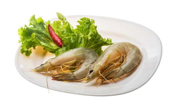 Langostino tigre — Foto de Stock