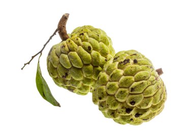 Noni meyve