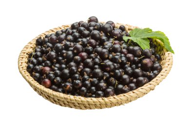 Siyah frenk üzümü