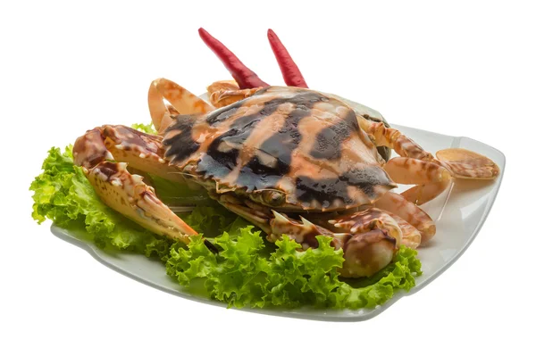 Red crab — Stock Photo, Image