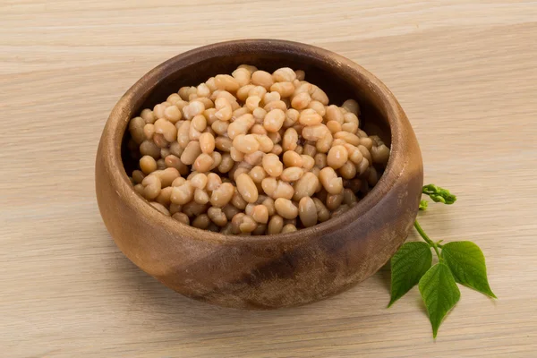 White beans — Stock Photo, Image