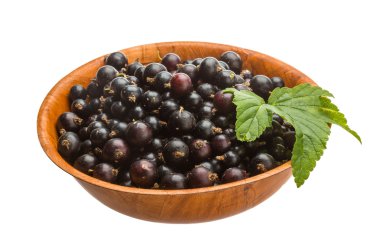 Siyah frenk üzümü