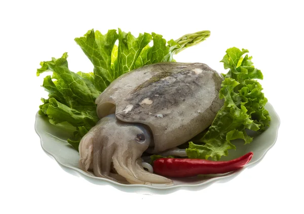 Raw cuttlefish — Stock Photo, Image