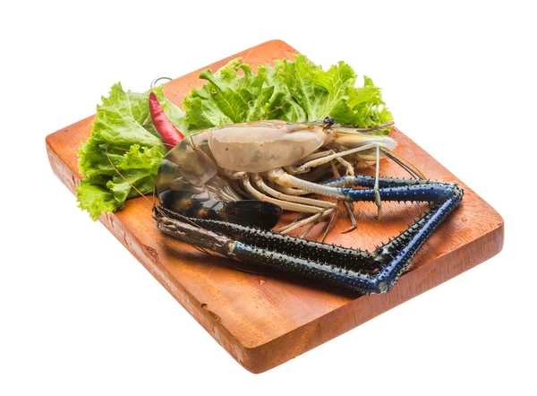 Freshwater prawn — Stock Photo, Image