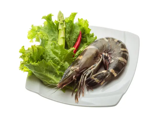 Langostino tigre — Foto de Stock