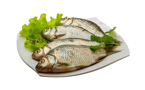 Pesce crociato — Foto Stock