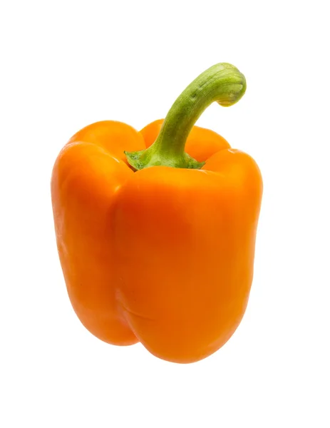 Oranje Bulgaarse peper — Stockfoto