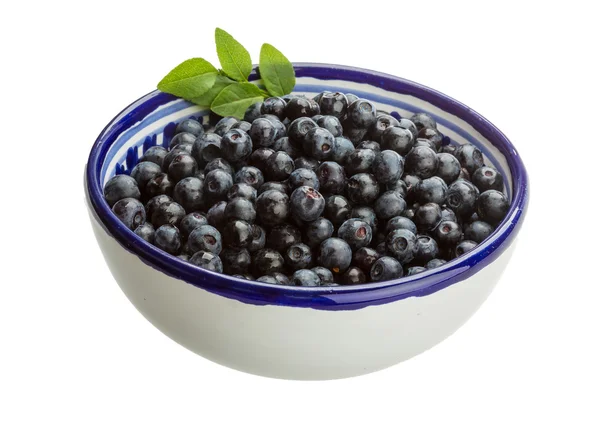 Blueberry — Stock Photo, Image