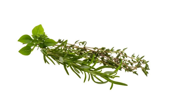 Fresh aroma herbs — Stock Photo, Image