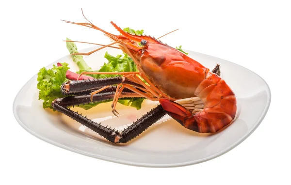 Giant Freshwater Prawn — Stock Photo, Image