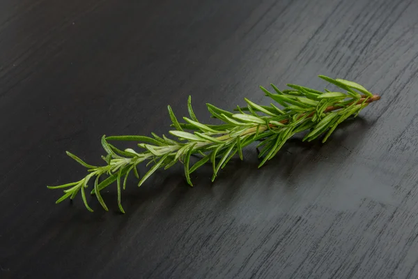 Planta Rosemary — Fotografia de Stock