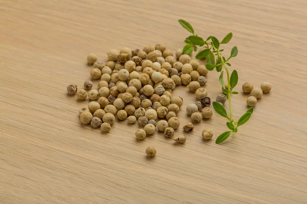 WHite pepper corn — Stock Photo, Image