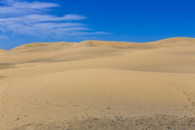 Maspalomas duna - Kanarya içinde çöl